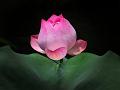 IMG-20250705-WA0012