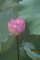 IMG-20250706-WA0000
