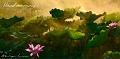 IMG-20250706-WA0001