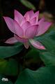 IMG-20250707-WA0001
