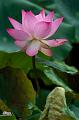 IMG-20250708-WA0000