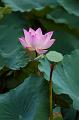 IMG-20250708-WA0006