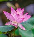 IMG-20250710-WA0011