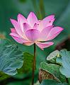 IMG-20250710-WA0012