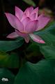 IMG-20250711-WA0008