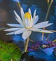 IMG-20250711-WA0016