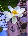IMG-20250711-WA0020