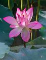IMG-20250711-WA0021