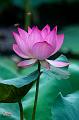 IMG-20250711-WA0027