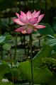 IMG-20250712-WA0000