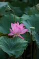 IMG-20250712-WA0001