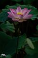 IMG-20250716-WA0000
