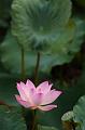 IMG-20250716-WA0002