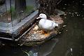 IMG-20240430-WA0068