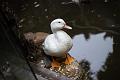 IMG-20240430-WA0071