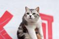 IMG-20180507-WA0124
