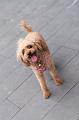 IMG-20180507-WA0125