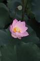 IMG-20260610-WA0062