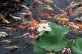 IMG-20260610-WA0193