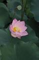 IMG-20260611-WA0017