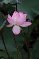 IMG-20260611-WA0019