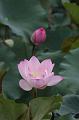 IMG-20260611-WA0022