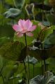 IMG-20260611-WA0026