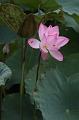 IMG-20260611-WA0030