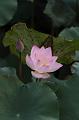IMG-20260611-WA0034