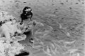 IMG-20260612-WA0045