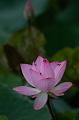 _DSC8015
