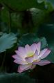 _DSC8191