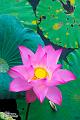 IMG-20160711-WA0001
