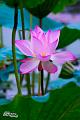 IMG-20160711-WA0002