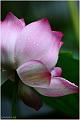 IMG-20160711-WA0021
