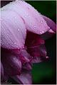 IMG-20160711-WA0022