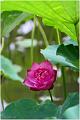 IMG-20160711-WA0023