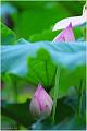 IMG-20160711-WA0024