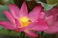 IMG-20160711-WA0041