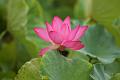 IMG-20160711-WA0045