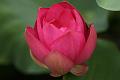 IMG-20160711-WA0046