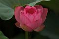 IMG-20160711-WA0048