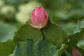 IMG-20160711-WA0055
