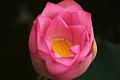 IMG-20160711-WA0056