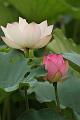 IMG-20160711-WA0057