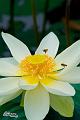IMG-20160711-WA0058
