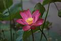IMG-20160711-WA0061