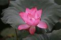 IMG-20160711-WA0062
