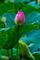 IMG-20160711-WA0072
