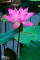 IMG-20160711-WA0073